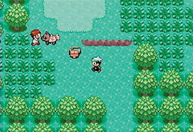 Giao diện chiến đấu Pokémon trong bản ROM hack Pokémon R.O.W.E với các Pokémon thế hệ mới.