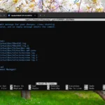 Giao diện dòng lệnh Git đang chạy hiệu quả trên Windows Subsystem for Linux (WSL) trong Windows 11, minh họa khả năng tích hợp của Git với môi trường Linux.