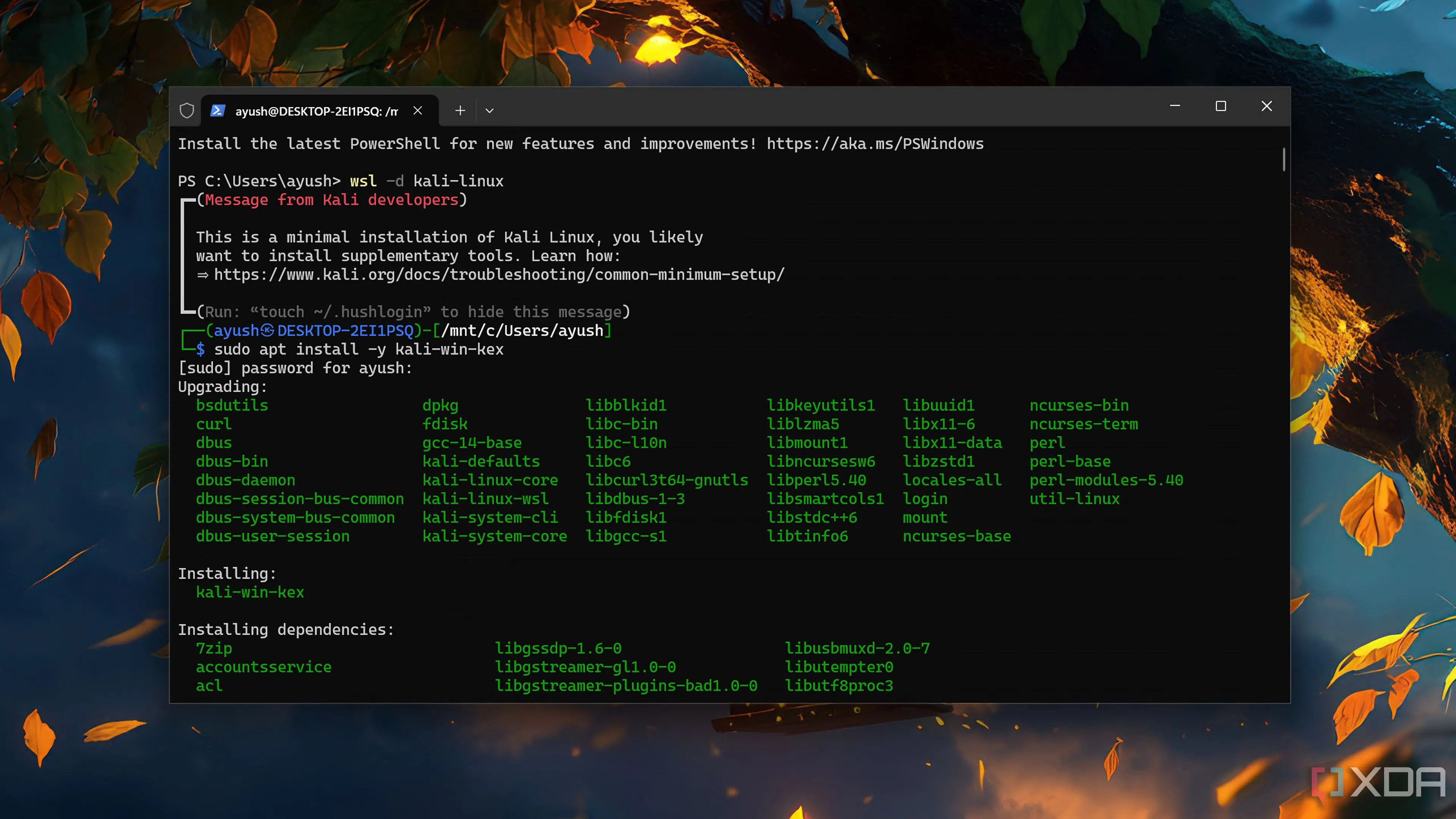 Giao diện Kali Linux đang chạy bên trong môi trường WSL trên Windows 11.