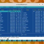 Midnight Commander chạy trong môi trường Linux