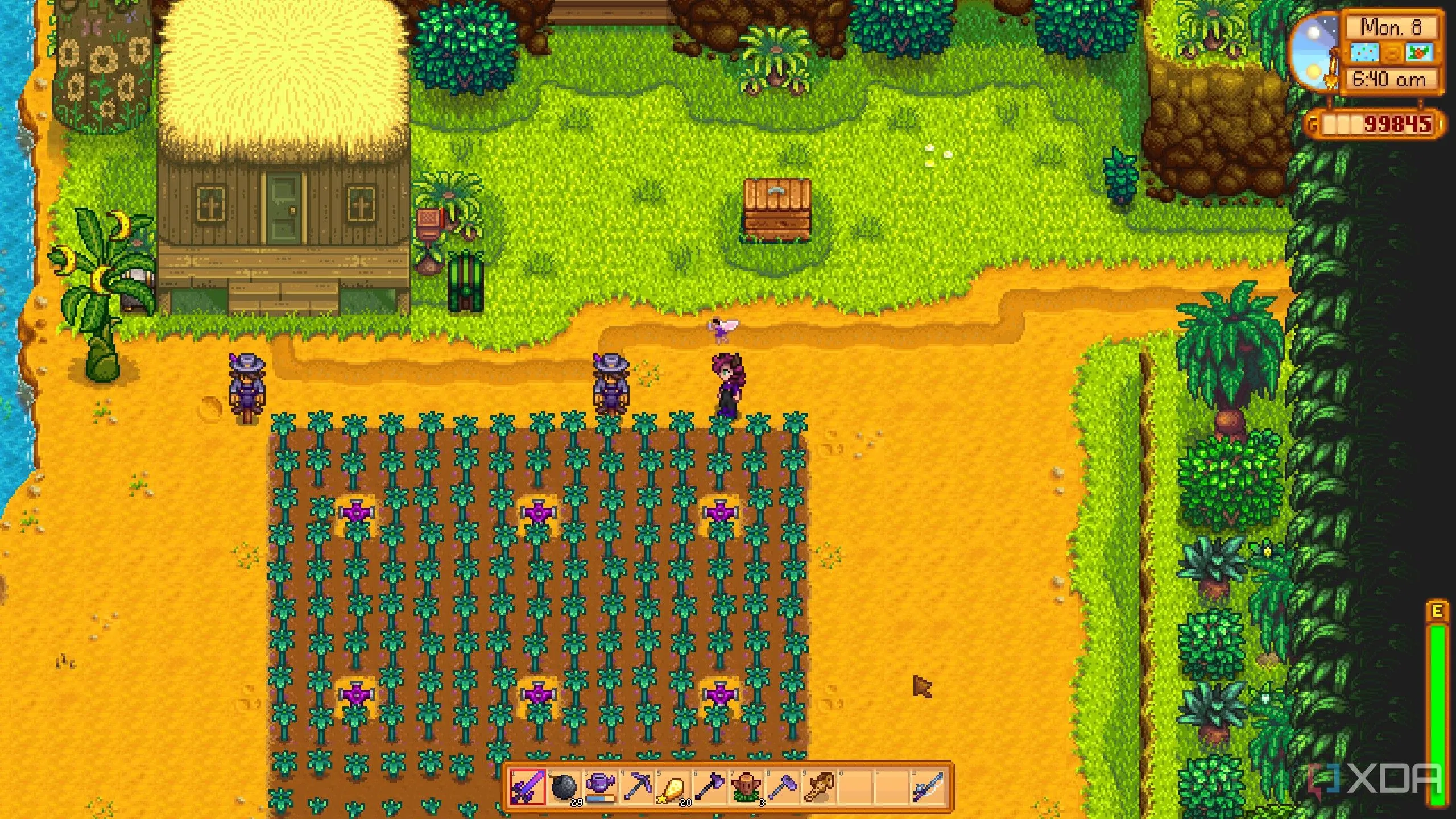 Nông trại Ginger Island trong game Stardew Valley.