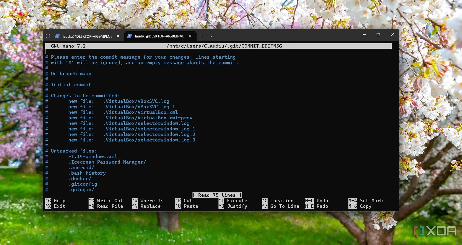 Running Git on Windows 11 on WSL