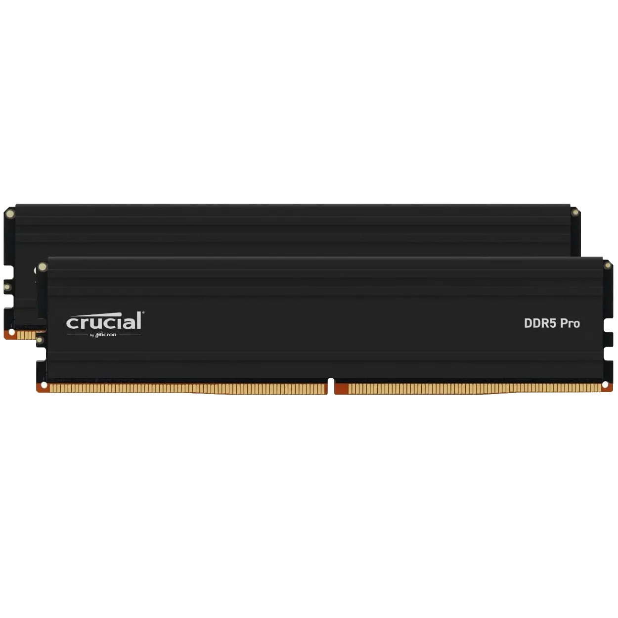 Thanh RAM Crucial Pro DDR5 dung lượng lớn, nhấn mạnh tầm quan trọng của dung lượng RAM hơn tốc độ trong một số ứng dụng.